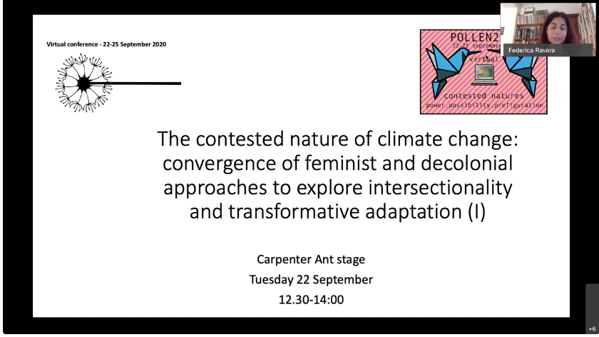 We organized two panels on feminist approaches to climate change within POLLEN 2020