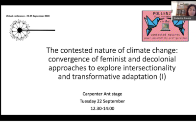 We organized two panels on feminist approaches to climate change within POLLEN 2020